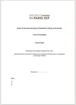 🎓 HDR thesis : Évaluations Des Stratégies Climatiques Des Villes : Modélisations Des Interactions Complexes Entre Enjeux Environnementaux et Dynamiques Économiques Urbaines